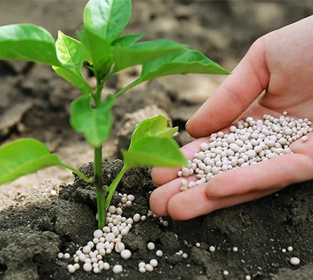 Fertilizer