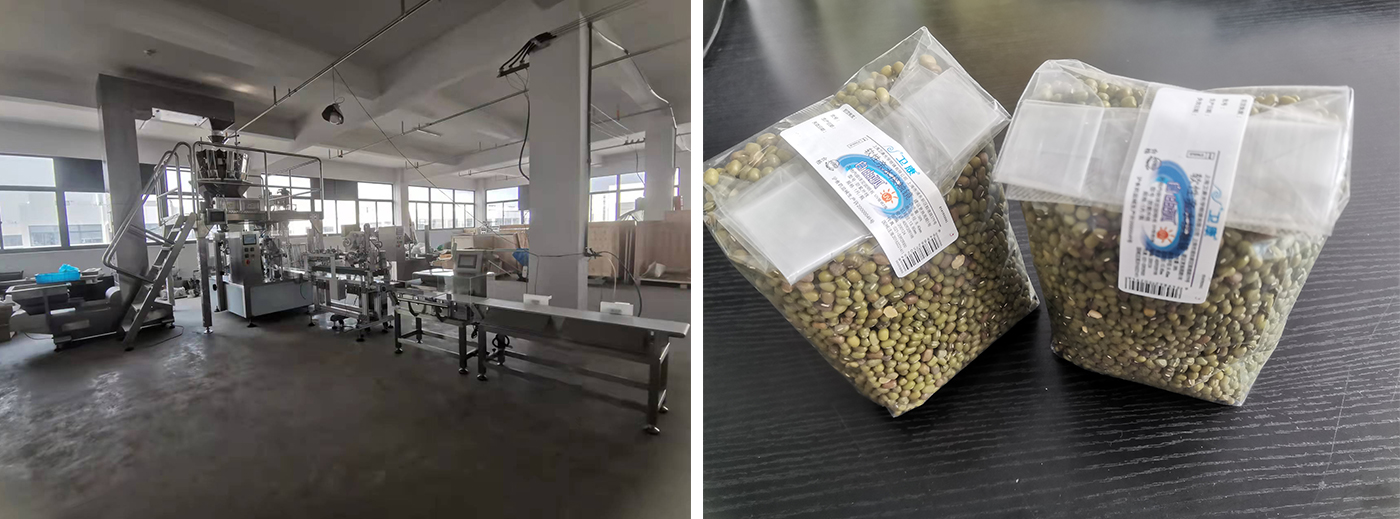 New Rotary Packing Machine for Premade Gusset Pouch with Folding and Labeling Device